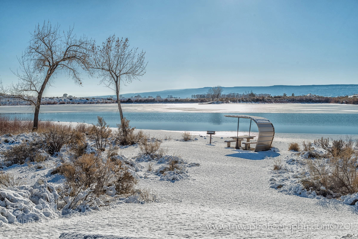 Nikon D800 sample photo. A colorado winter's beach photography