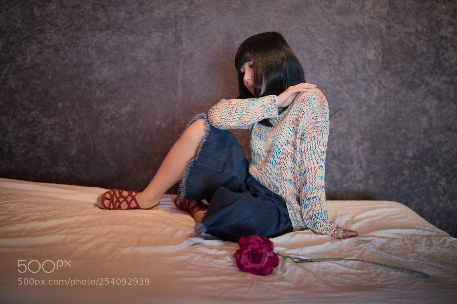 Canon EOS 5D Mark IV sample photo. Rose photography