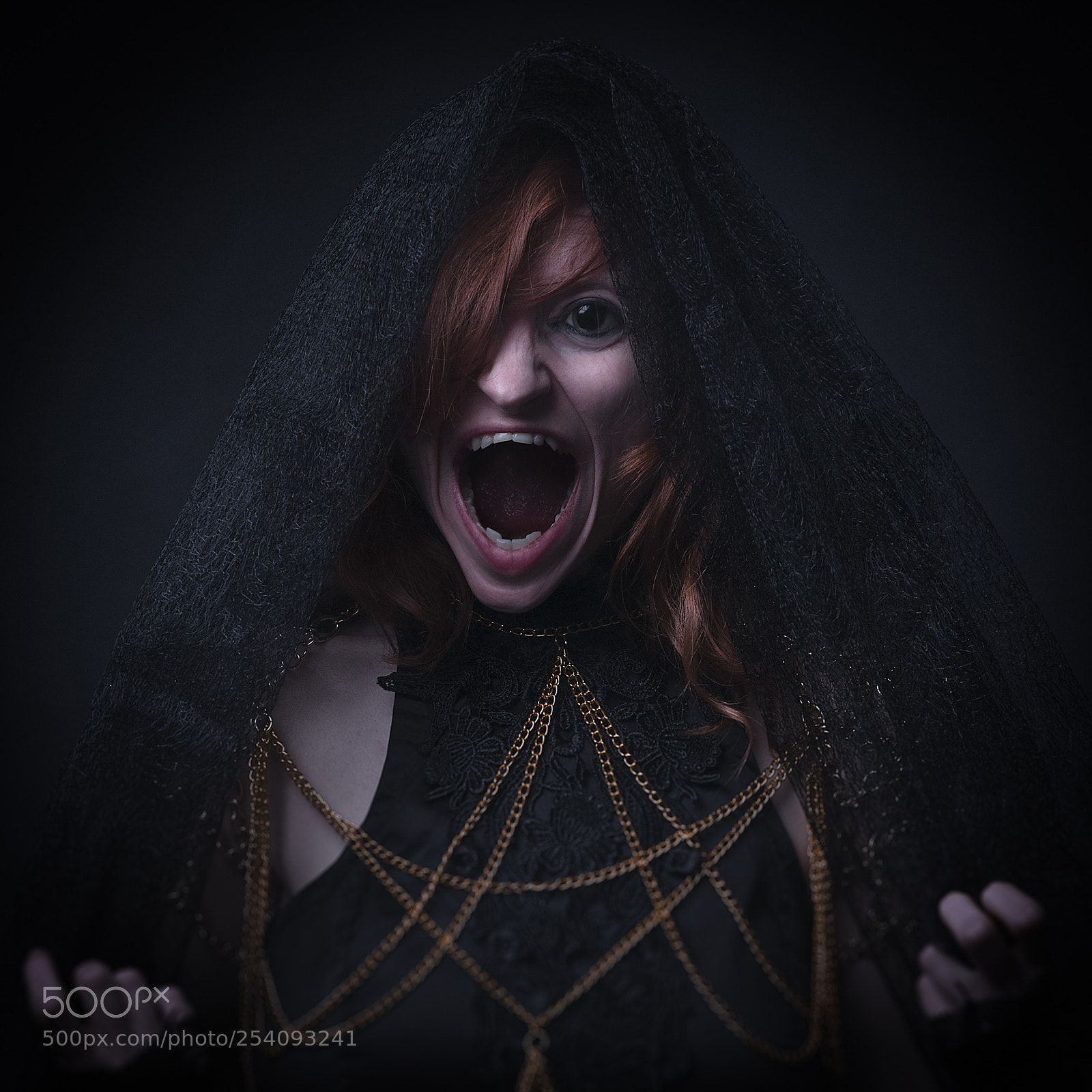 Nikon D800 sample photo. The scream photography