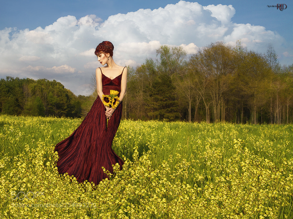 Canon EOS 7D sample photo. In a field of photography