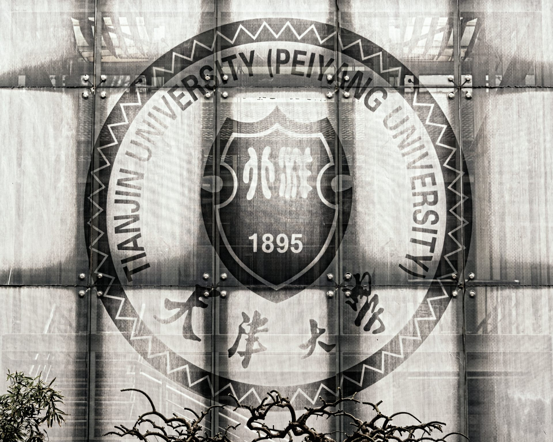 Nikon D800 sample photo. Tju logo photography