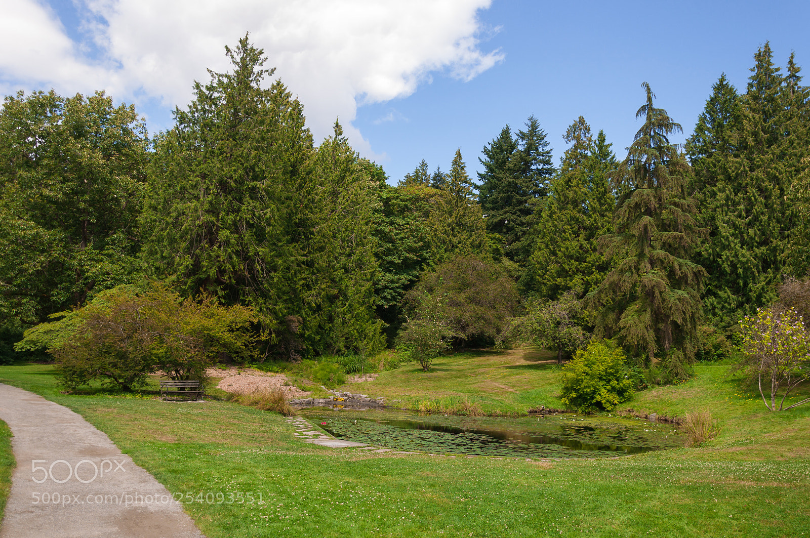 Nikon D90 sample photo. Cedar neighbours photography