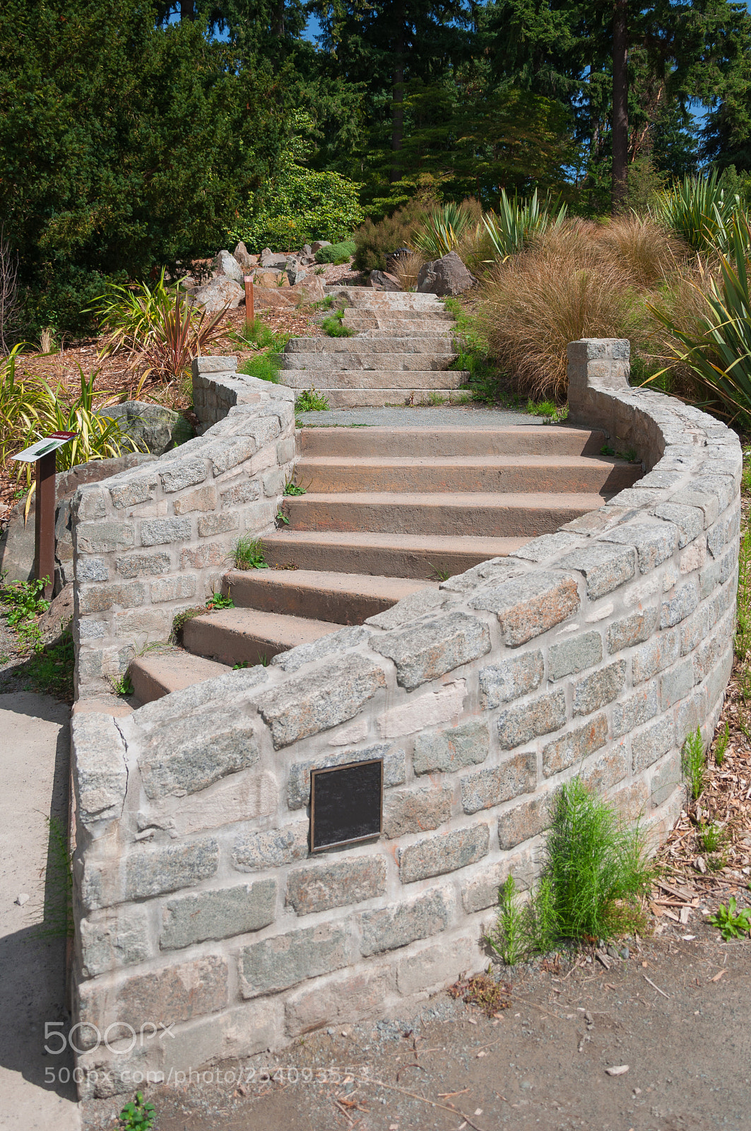 Nikon D90 sample photo. Rocky stairs photography