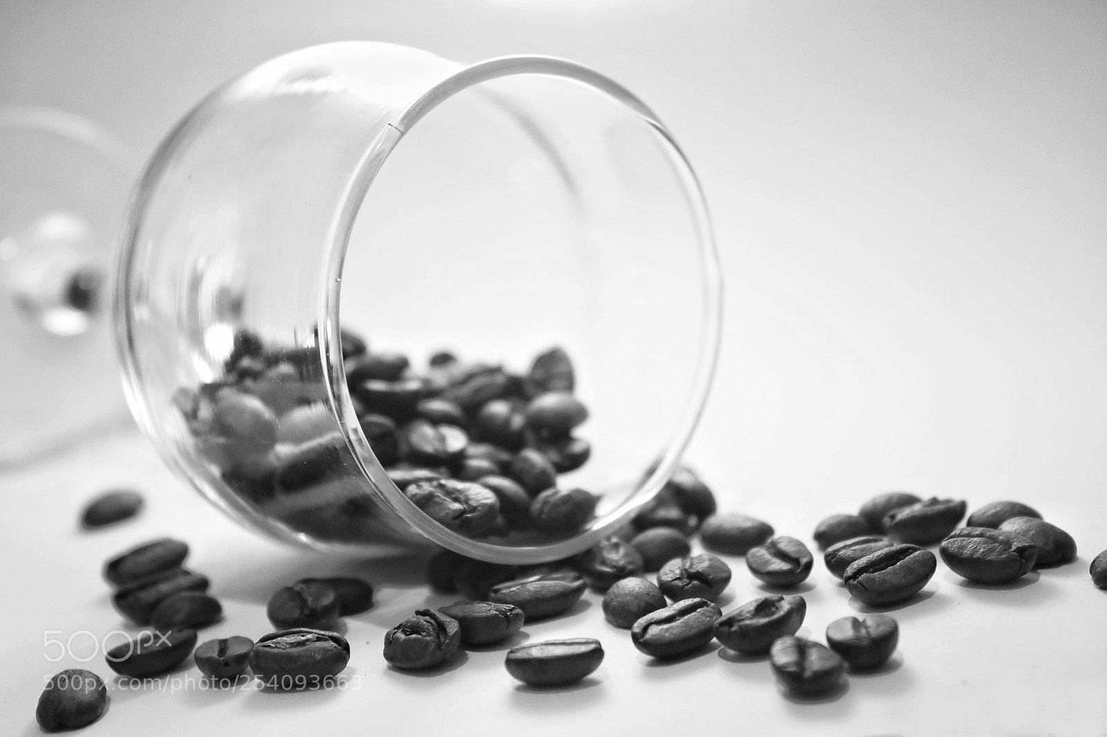Canon EOS 760D (EOS Rebel T6s / EOS 8000D) sample photo. Coffee beans photography