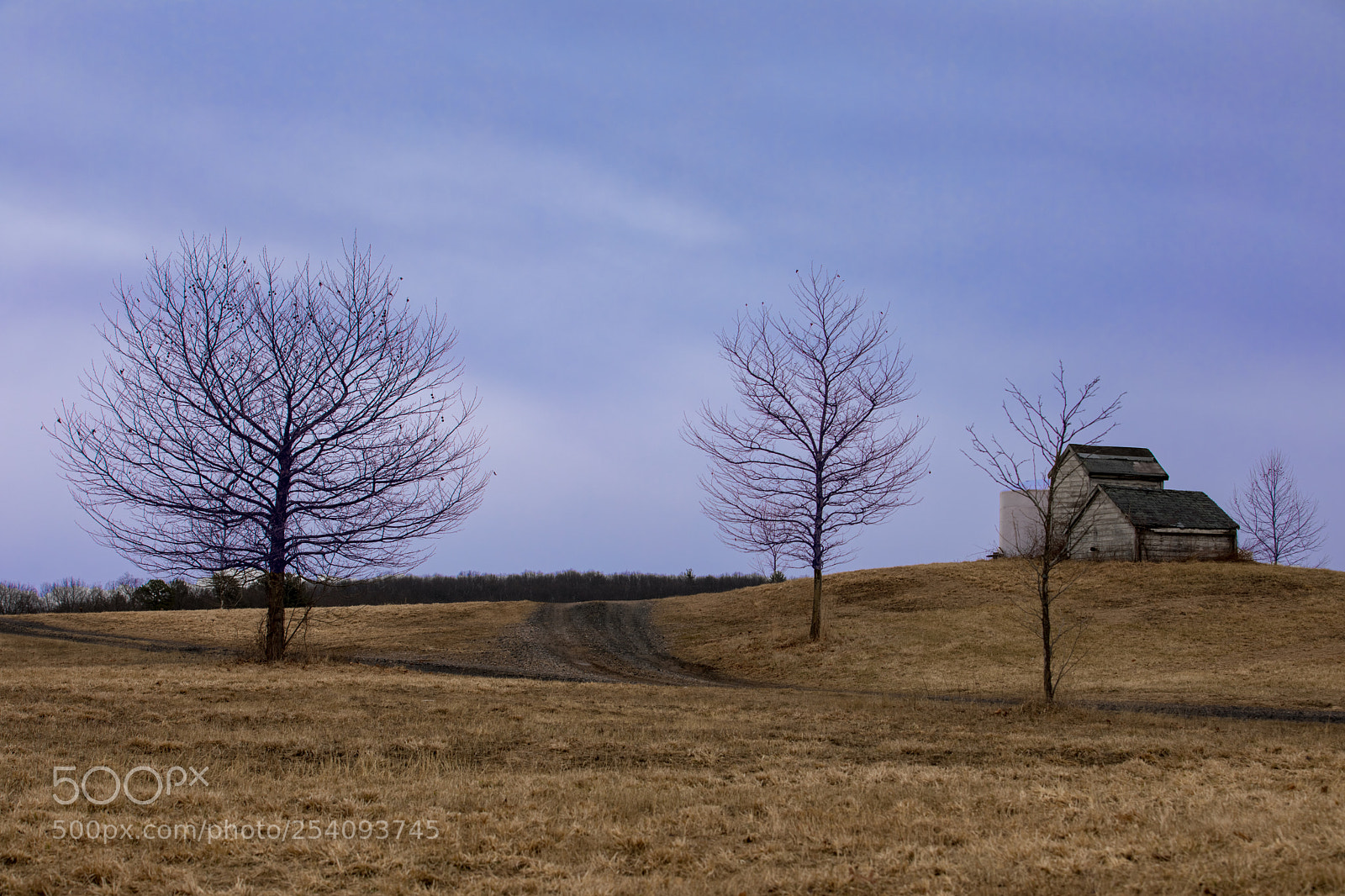 Canon EOS 5D Mark IV sample photo. Farm - blue hour photography