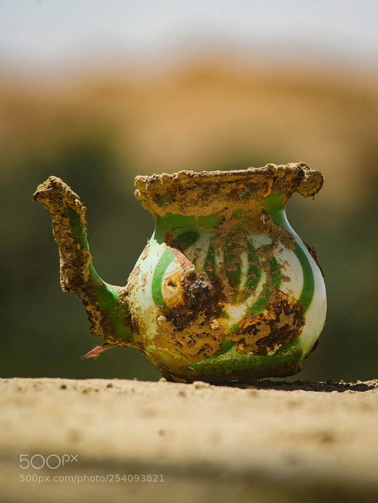 Nikon D700 sample photo. Untitled photography