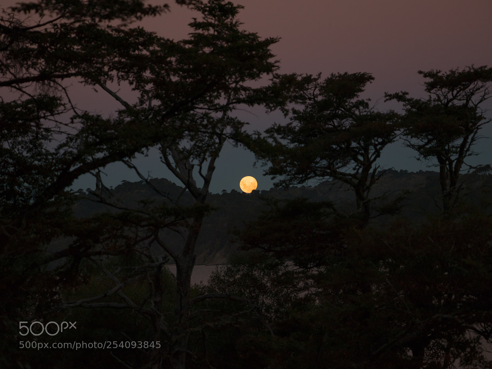 Canon EOS 80D sample photo. Llega la noche y photography