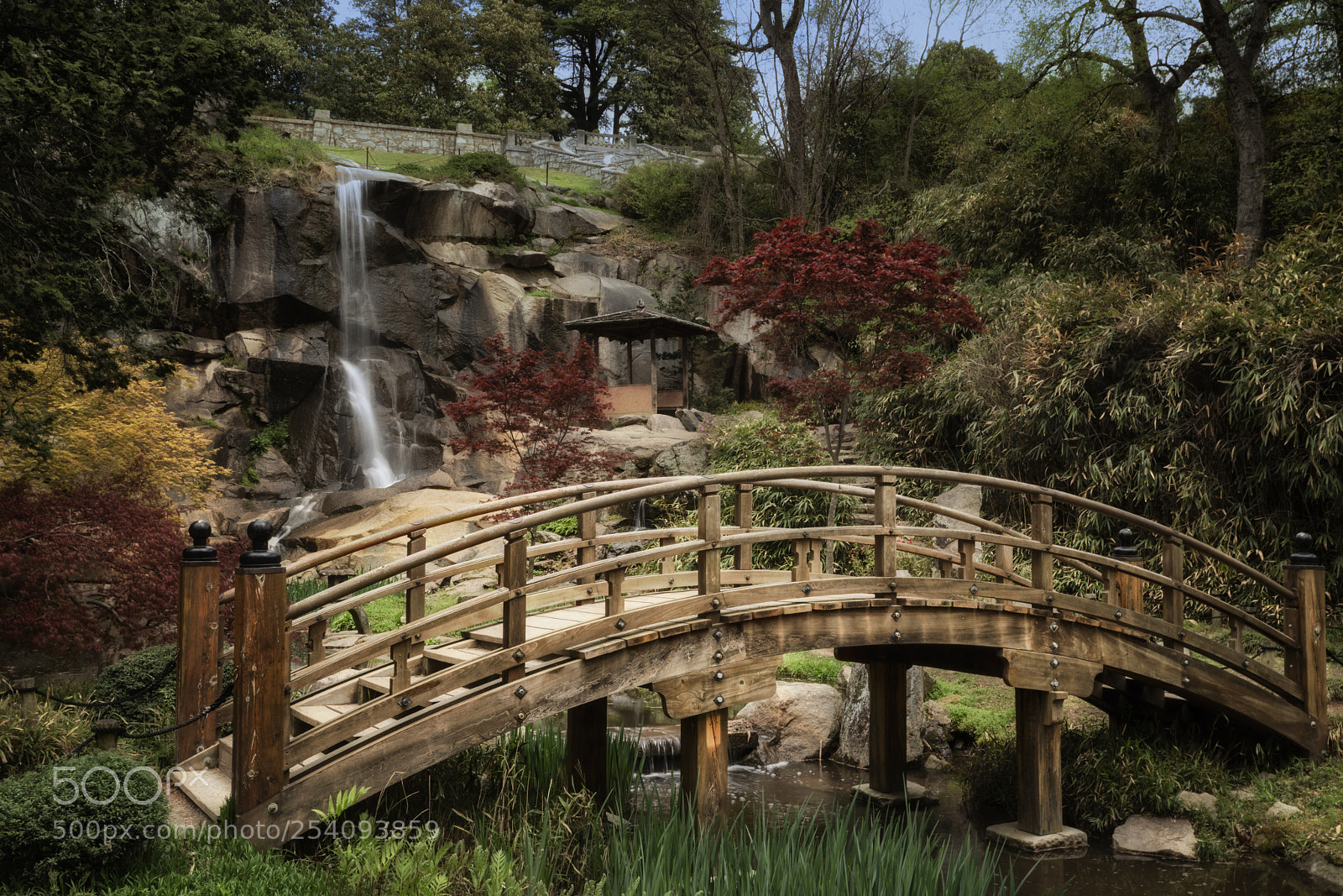Sony a7R III sample photo. Moon bridge with waterfall photography