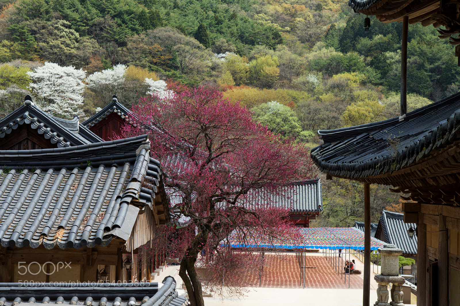 Canon EOS 5D Mark IV sample photo. Temple photography