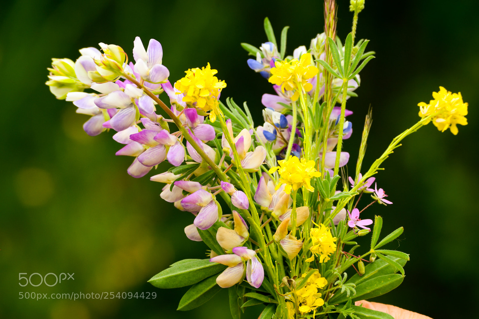 Nikon D3300 sample photo. Flower bouquet photography