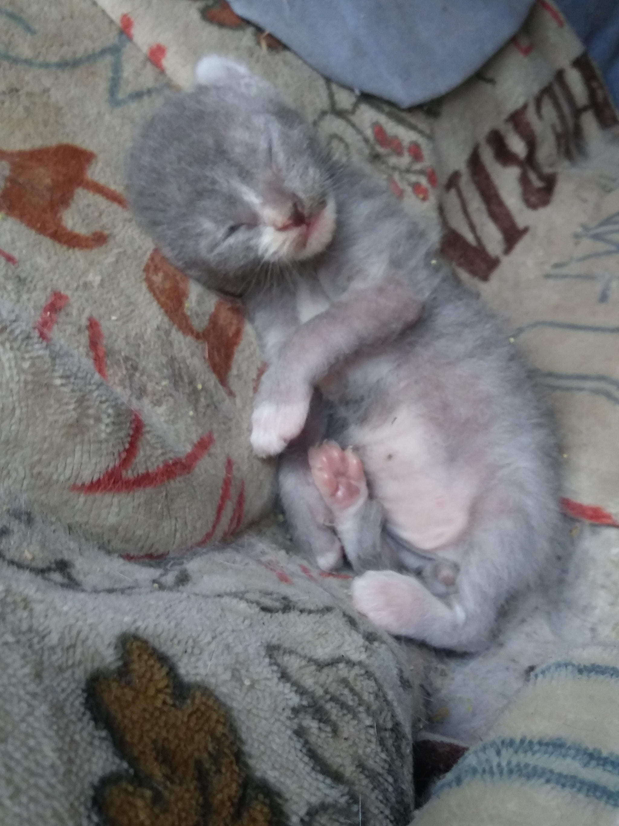 LG K8(2018) sample photo