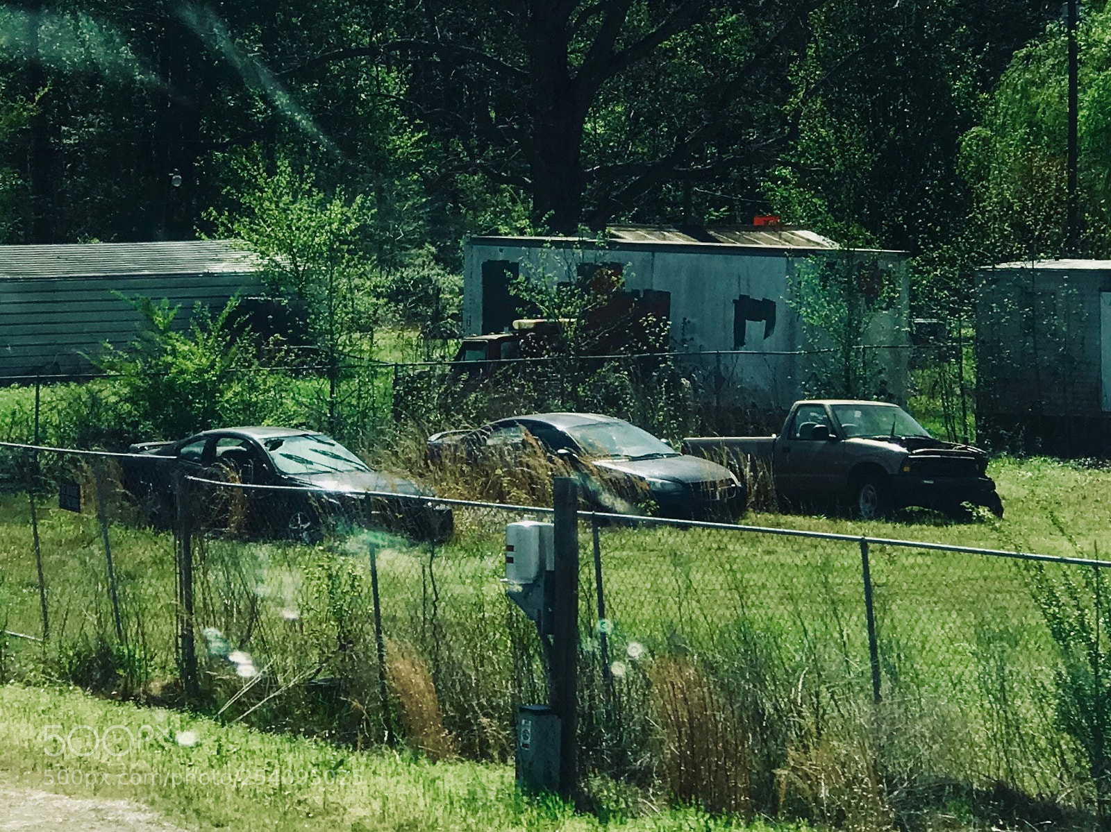 Apple iPhone 7 Plus sample photo. Grass grown junk cars photography