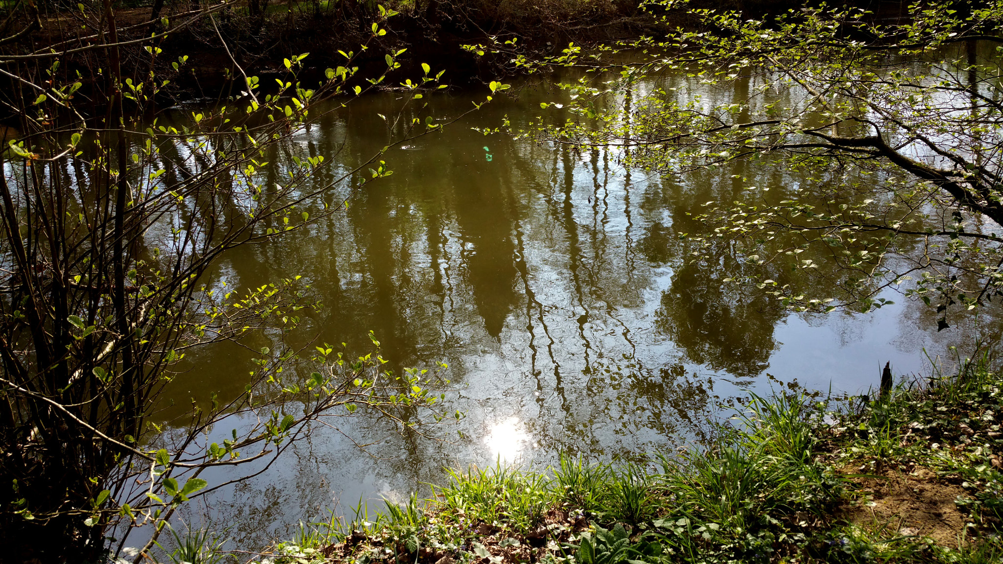 Samsung Galaxy Note Edge sample photo. Reflections on the river huisne photography