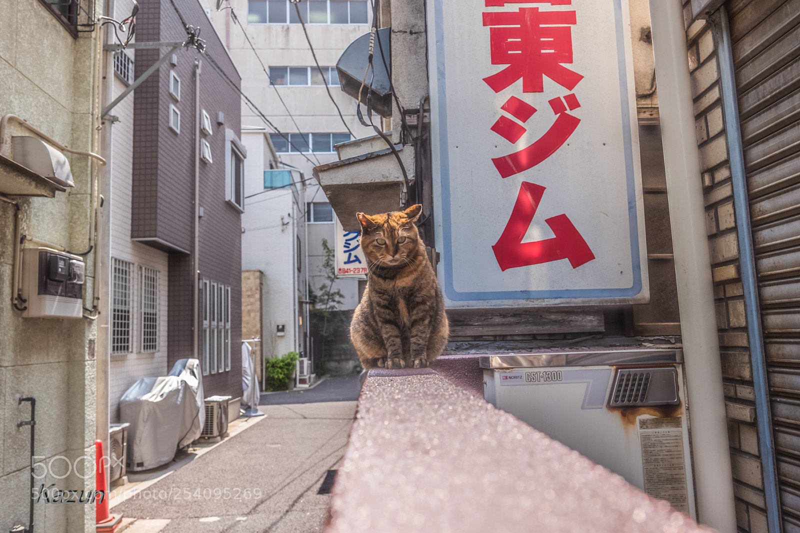 Leica SL (Typ 601) sample photo. Wait for my dried photography