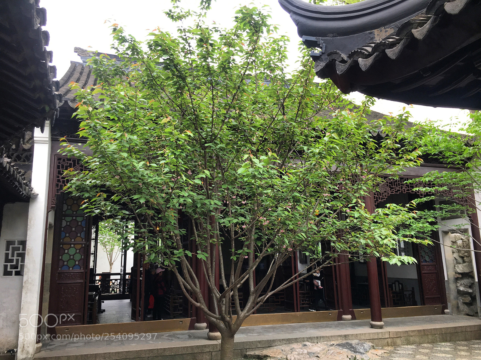 Apple iPhone 6s sample photo. 苏州狮子林 photography