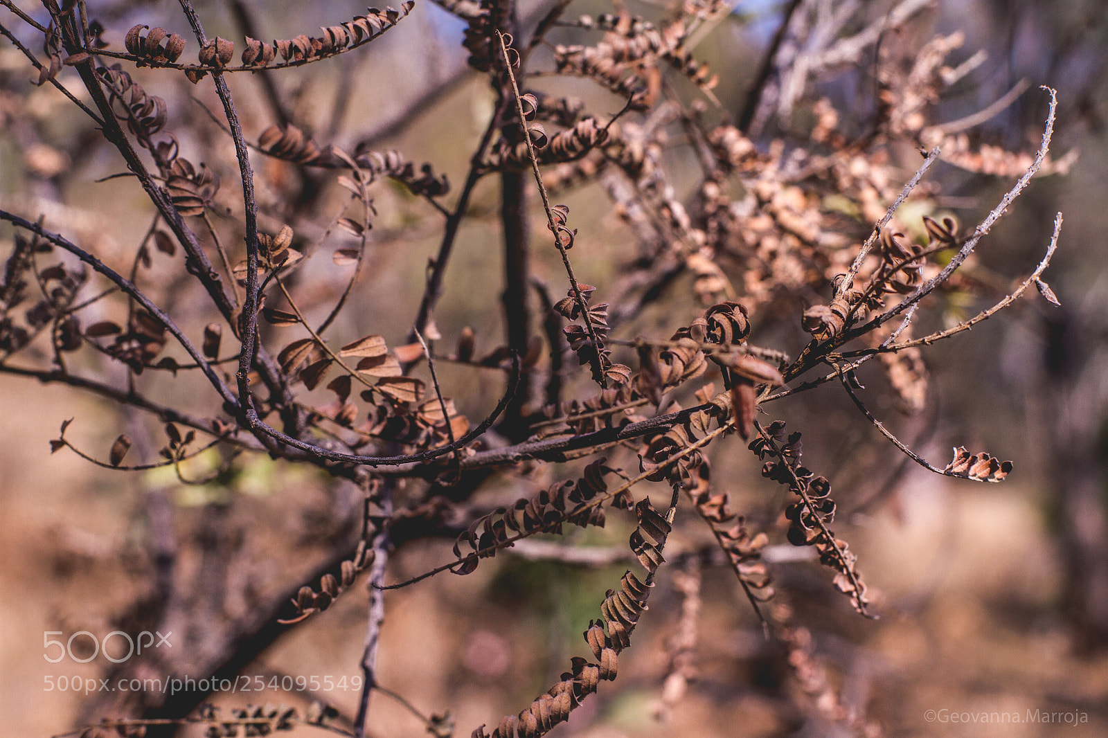 Canon EOS 7D sample photo. Nature photography