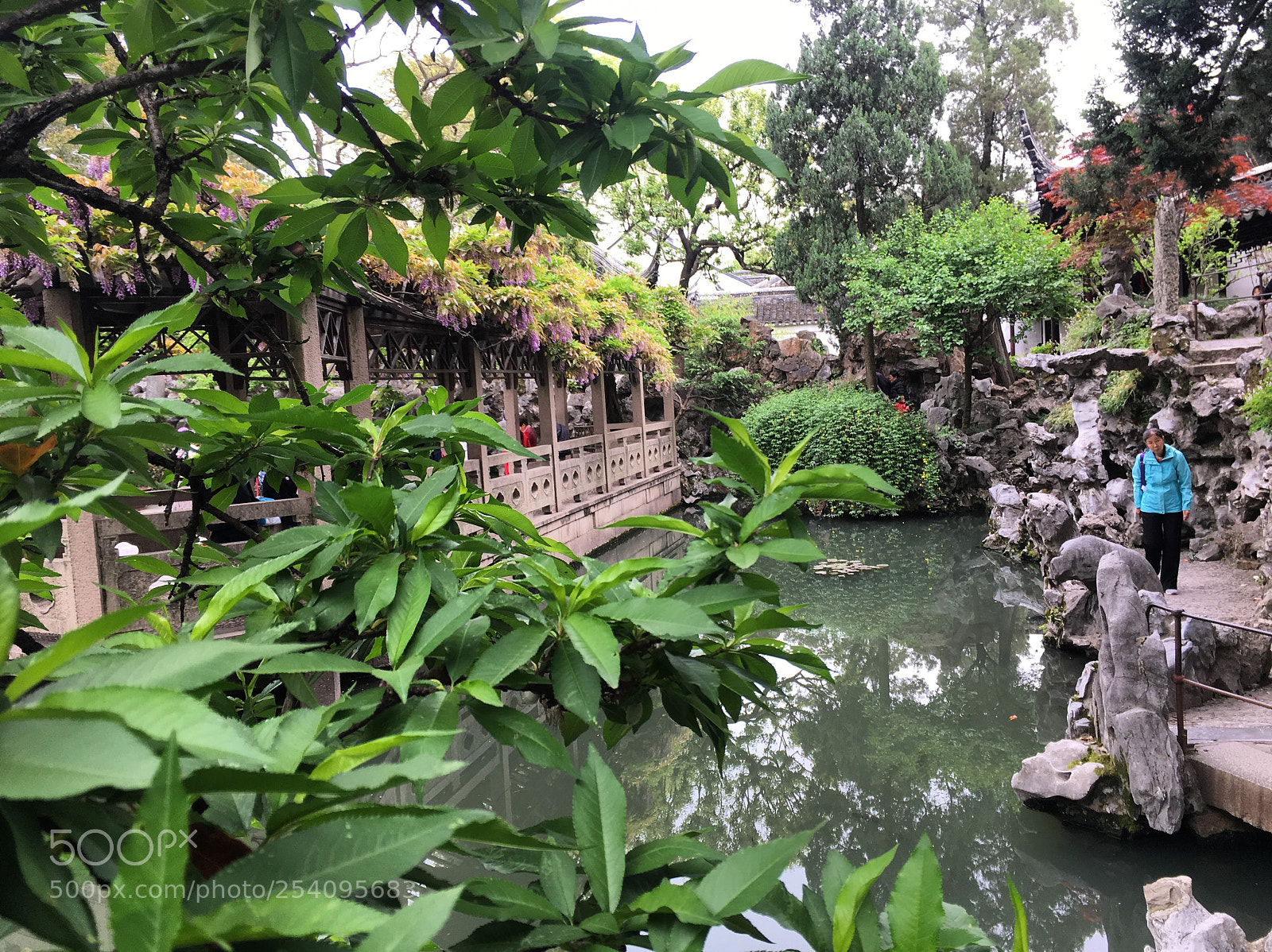 Apple iPhone 6s sample photo. 苏州狮子林 photography