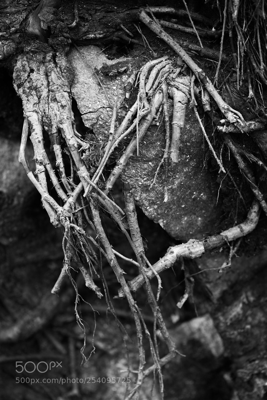 Pentax K-1 sample photo. Fingers photography