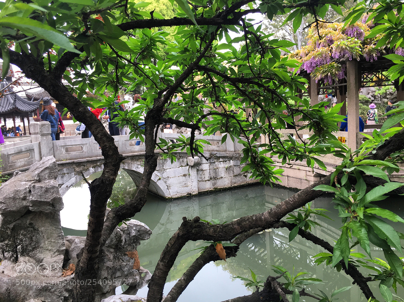 Apple iPhone 6s sample photo. 苏州狮子林 photography