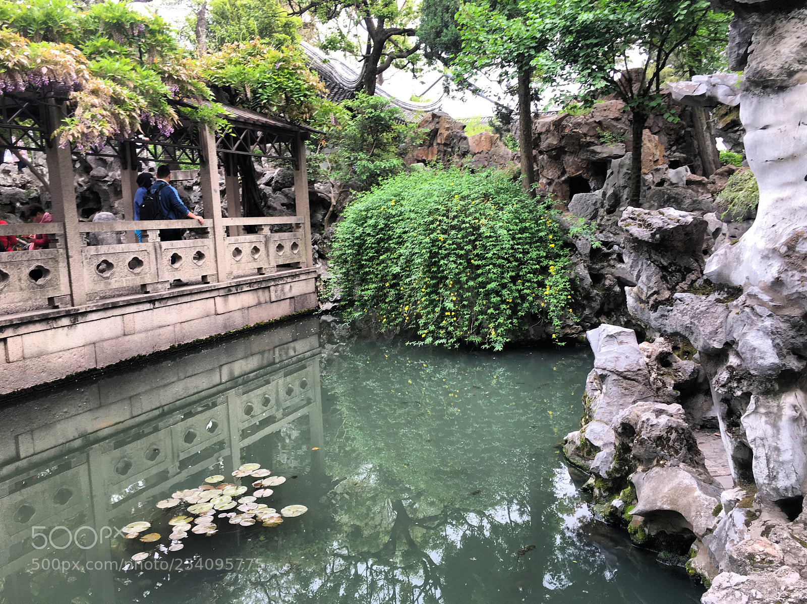 Apple iPhone 6s sample photo. 苏州狮子林 photography