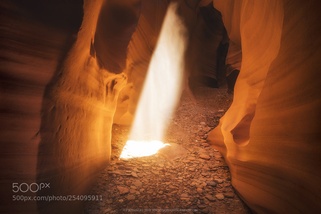 Canon EOS 5D Mark IV sample photo. The fire within photography