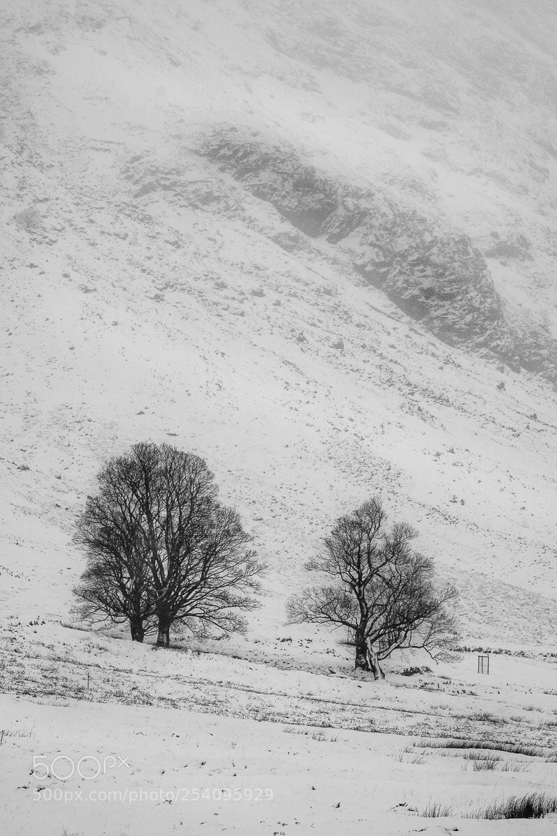 Fujifilm X-Pro2 sample photo. Lost in the montains photography
