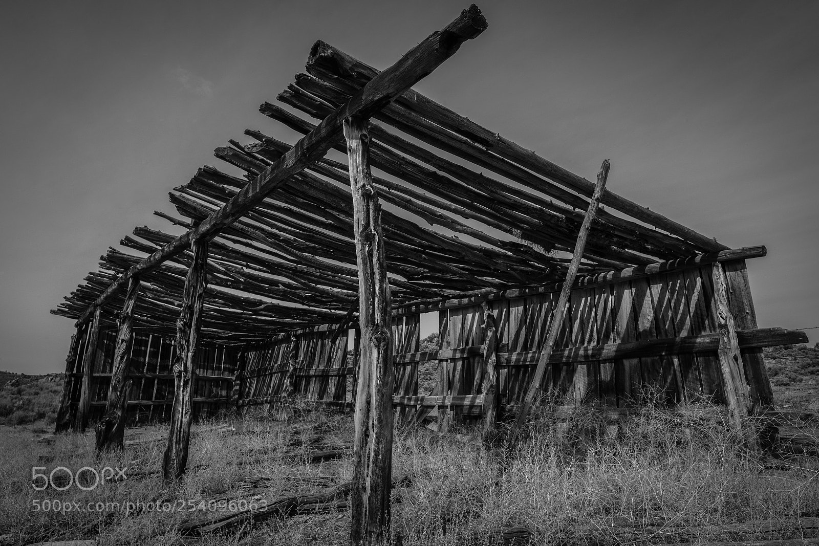 Fujifilm X-T2 sample photo. Respite from the sun photography