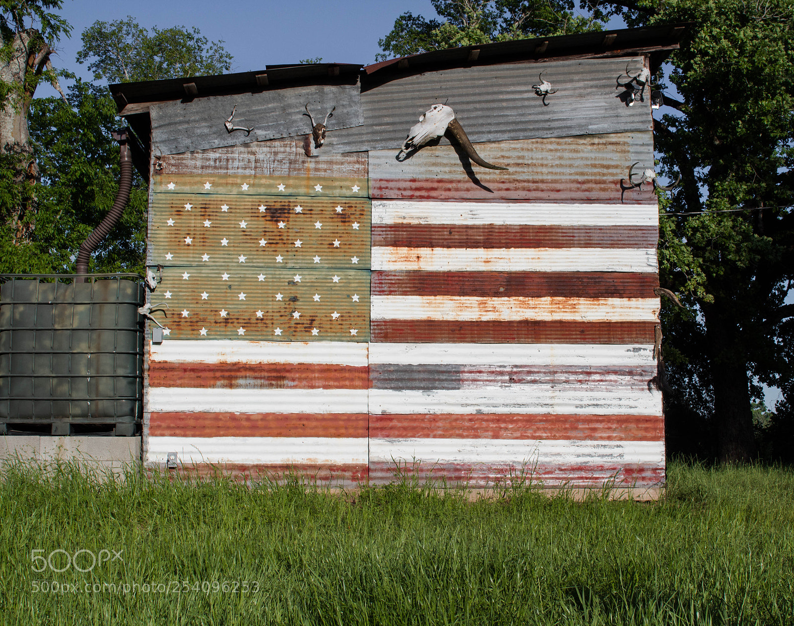 Canon EOS 1300D (EOS Rebel T6 / EOS Kiss X80) sample photo. East texas photography