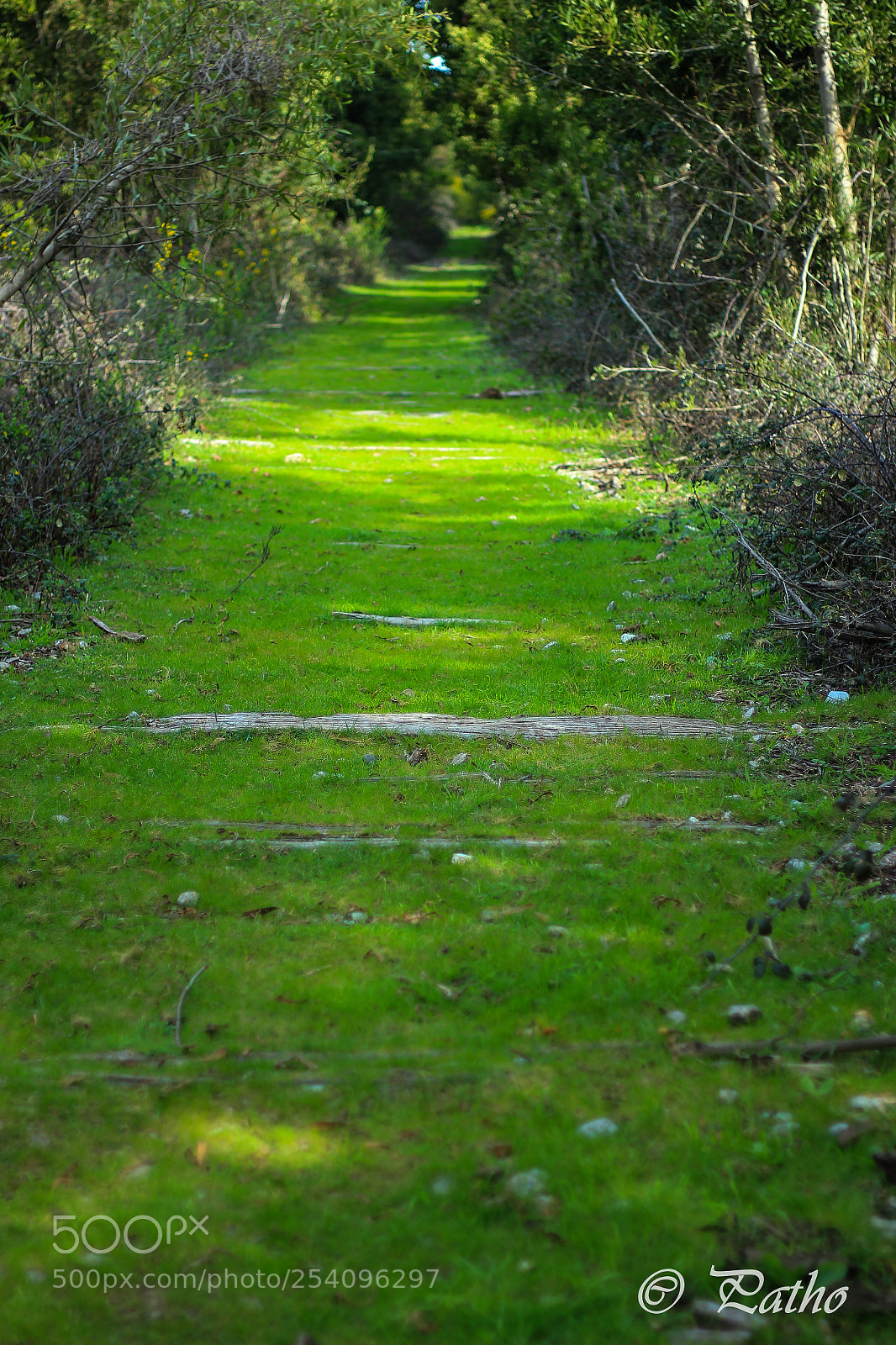 Canon EOS 550D (EOS Rebel T2i / EOS Kiss X4) sample photo. Ex linea ferrea photography