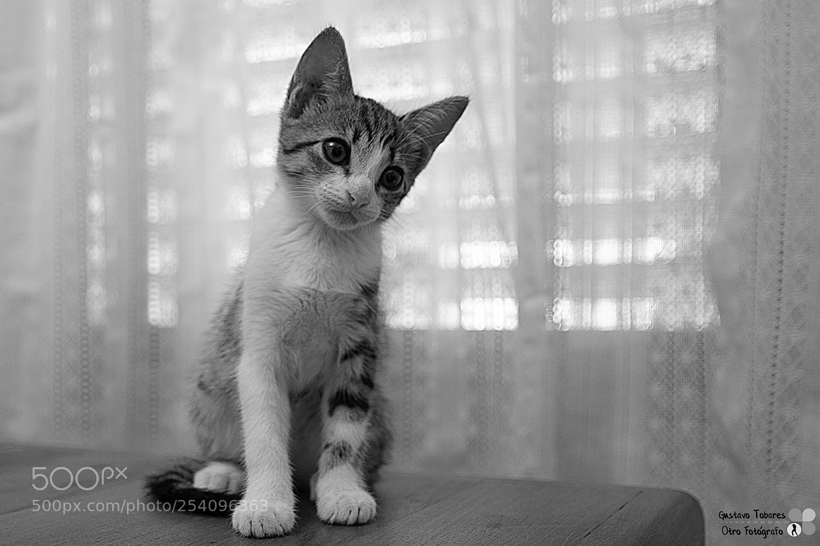 Nikon D5200 sample photo. Arya photography