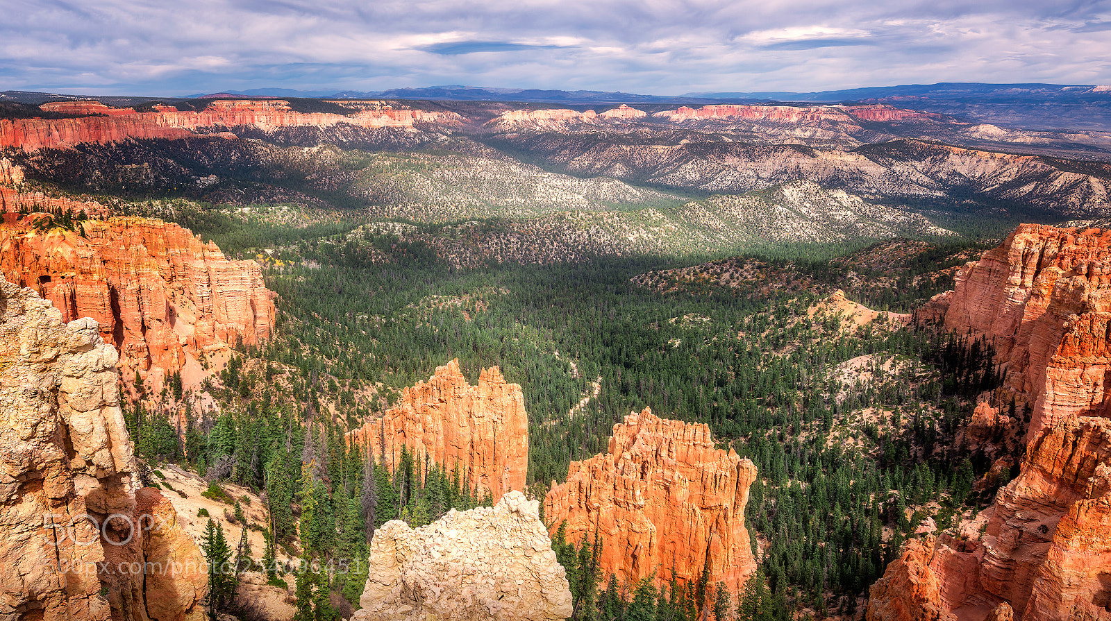 Nikon D810 sample photo. The valley below photography