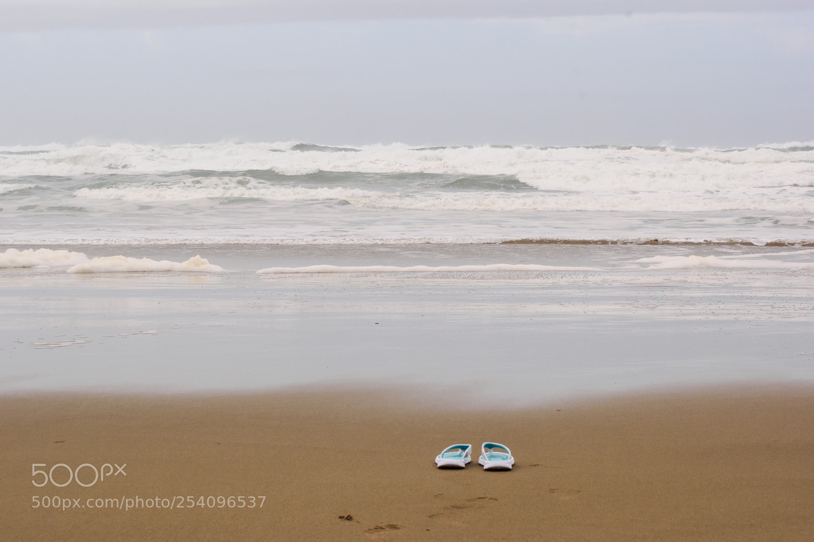 Nikon D3300 sample photo. Walk on the beach photography