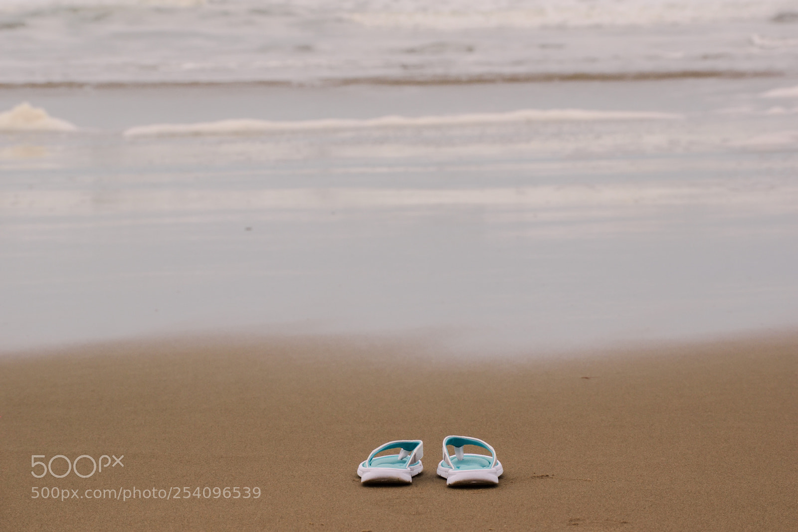 Nikon D3300 sample photo. Standing alone photography