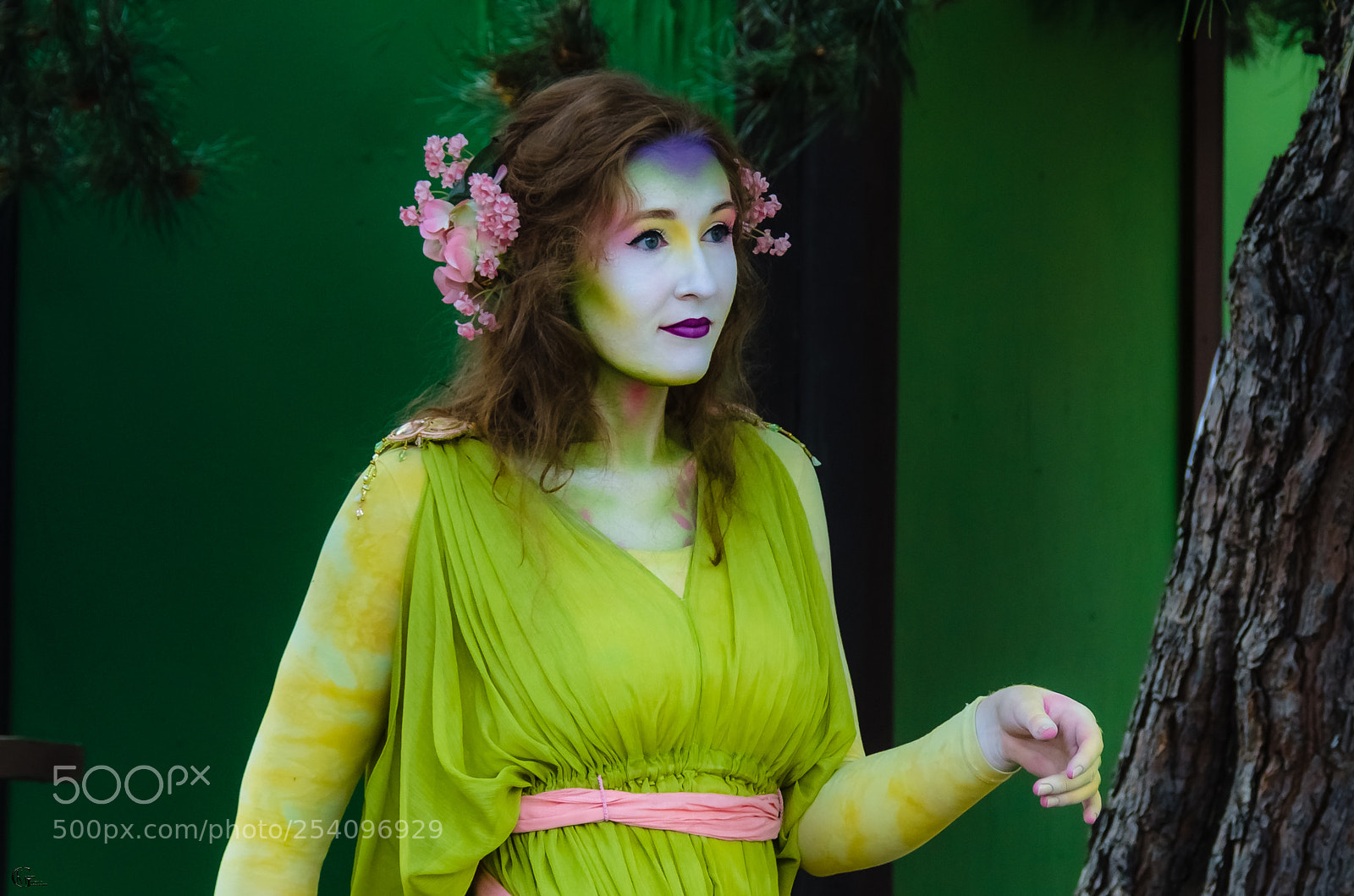 Nikon D7000 sample photo. Green fairy photography