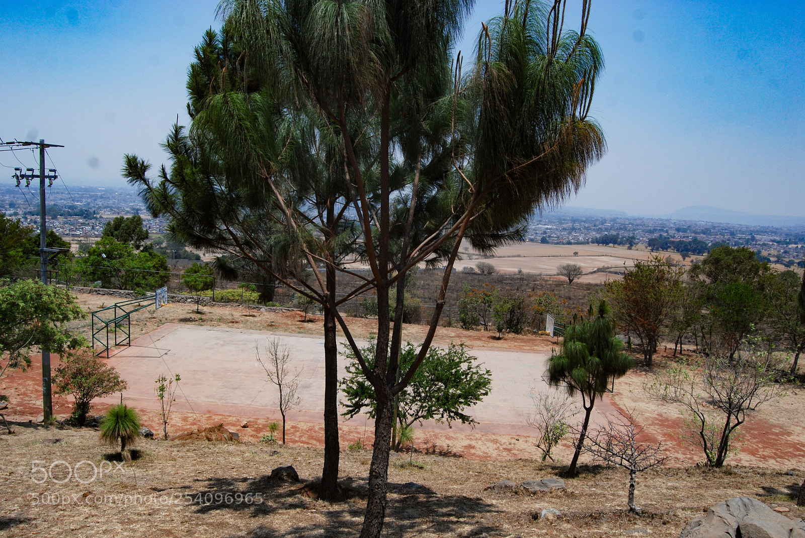 Nikon D40X sample photo. Longer photography