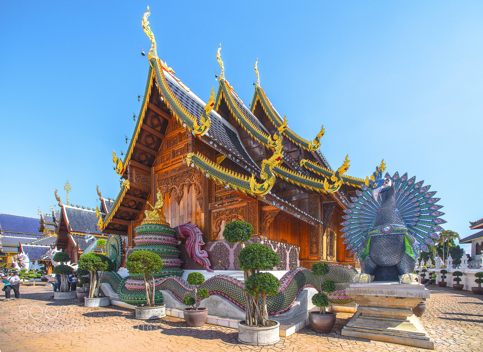 Nikon D850 sample photo. Wat ban den photography