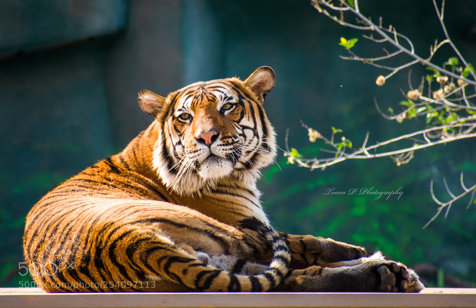 Nikon D3400 sample photo. Thanks, but i already photography