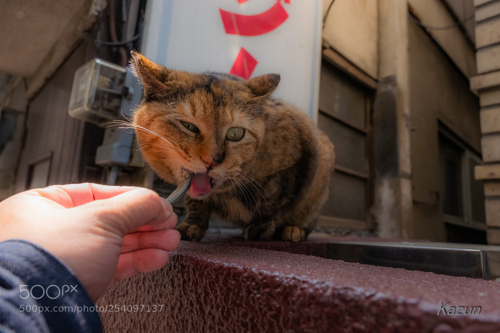 Leica SL (Typ 601) sample photo. Eat! photography