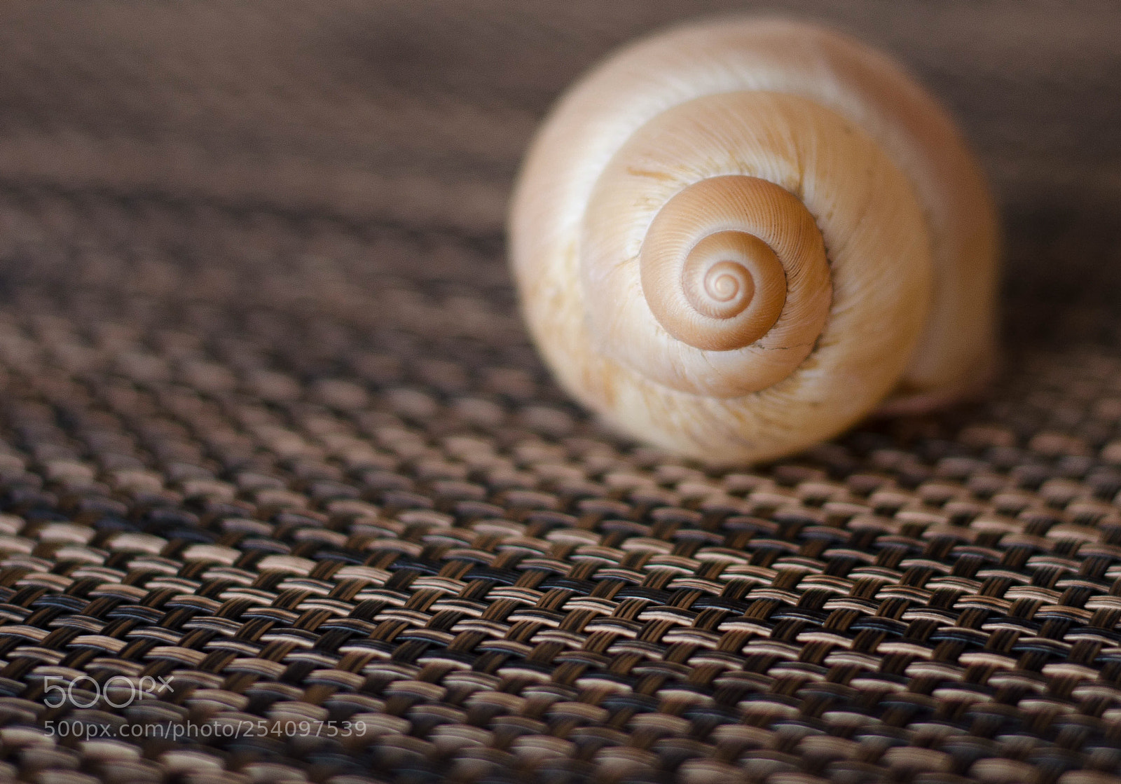 Nikon D5100 sample photo. Lineas y texturas photography