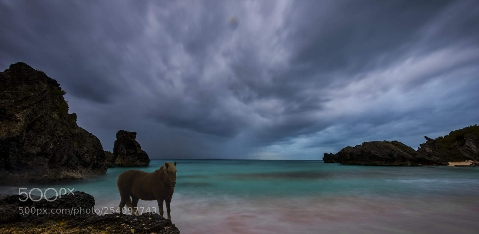 Nikon D810 sample photo. Bermuda photography