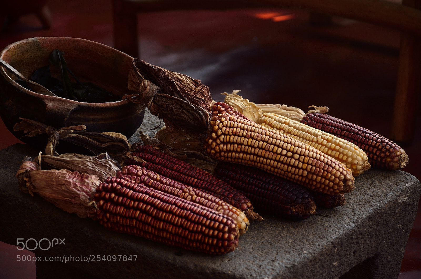 Nikon D7000 sample photo. Mazorcas / cob photography