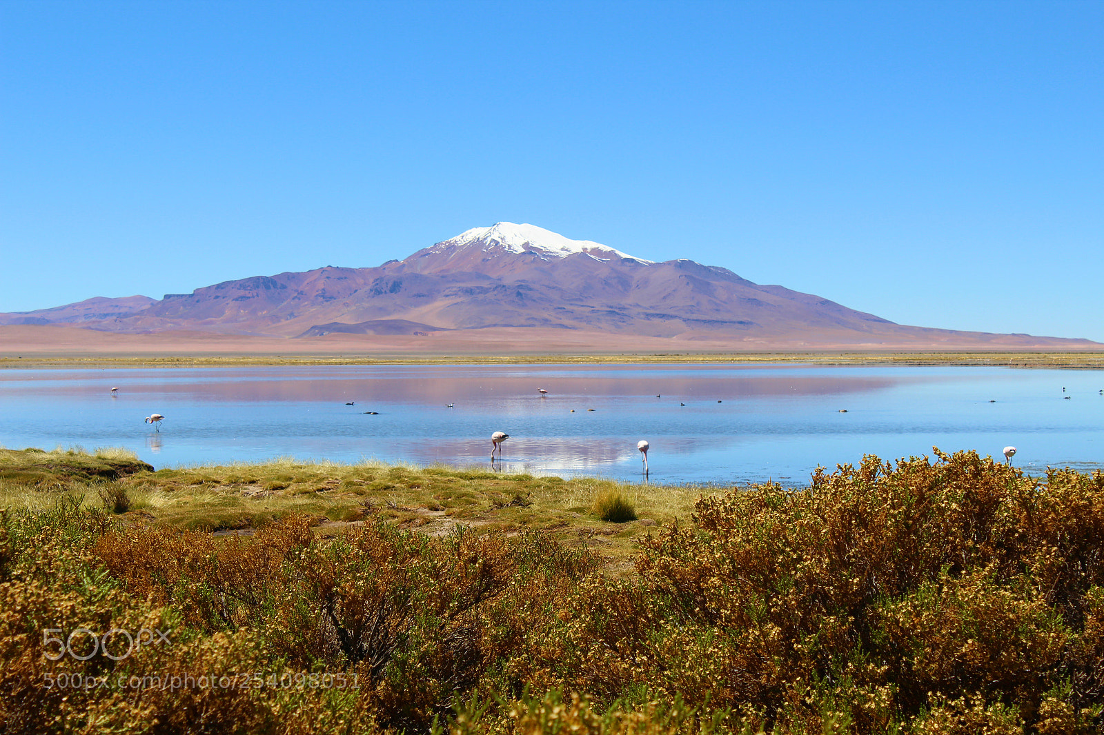 Canon EOS 1200D (EOS Rebel T5 / EOS Kiss X70 / EOS Hi) sample photo. Salar de tara iii photography