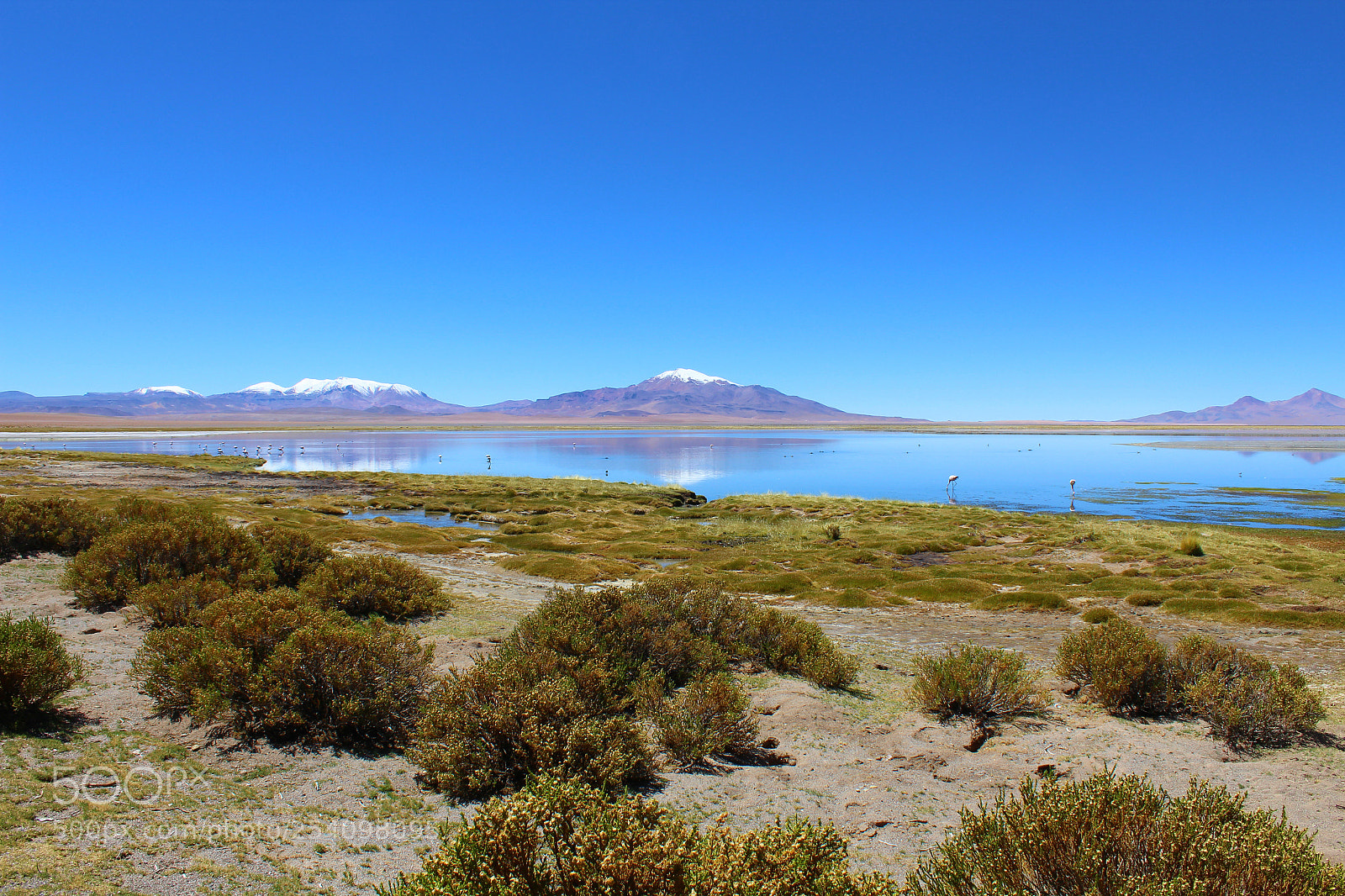 Canon EOS 1200D (EOS Rebel T5 / EOS Kiss X70 / EOS Hi) sample photo. Salar de tara ii photography