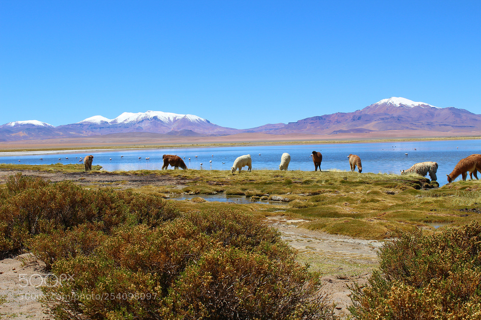 Canon EOS 1200D (EOS Rebel T5 / EOS Kiss X70 / EOS Hi) sample photo. Salar de tara i photography