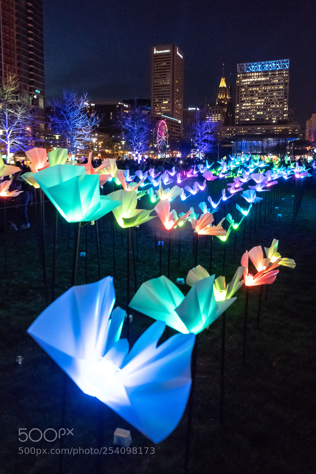 Nikon D850 sample photo. Zgl-180414-1798.jpg photography