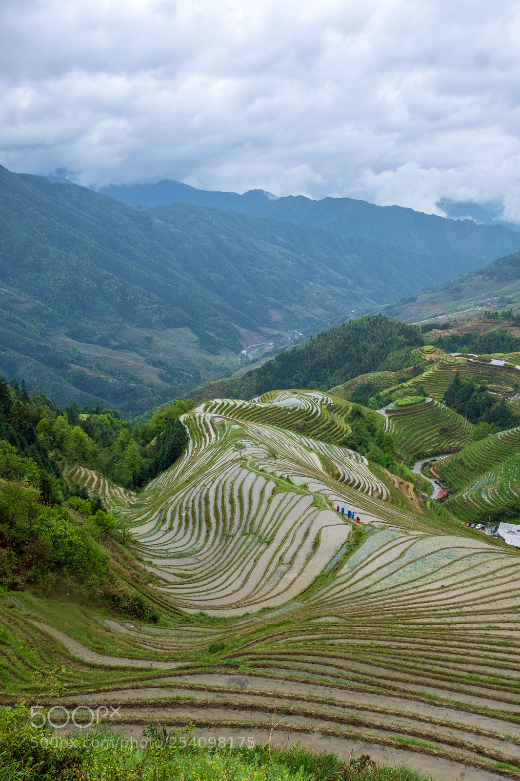 Fujifilm X-T20 sample photo. Longji rice terrace photography