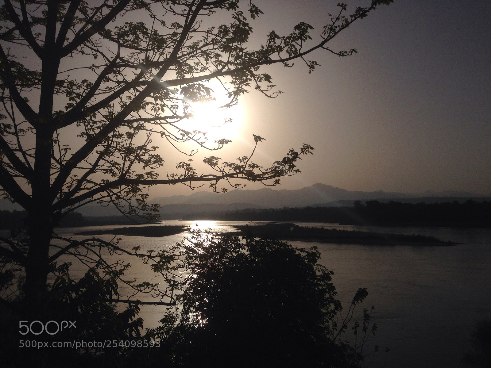 Apple iPhone 5 sample photo. Morning melodies  photography