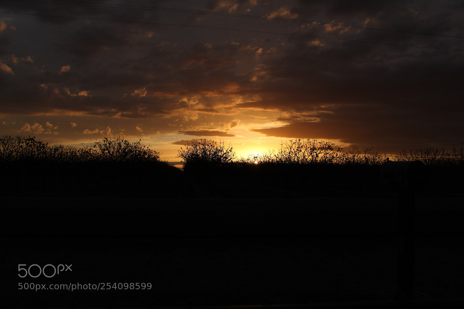 Canon EOS 1300D (EOS Rebel T6 / EOS Kiss X80) sample photo. Golden sunset 2 photography