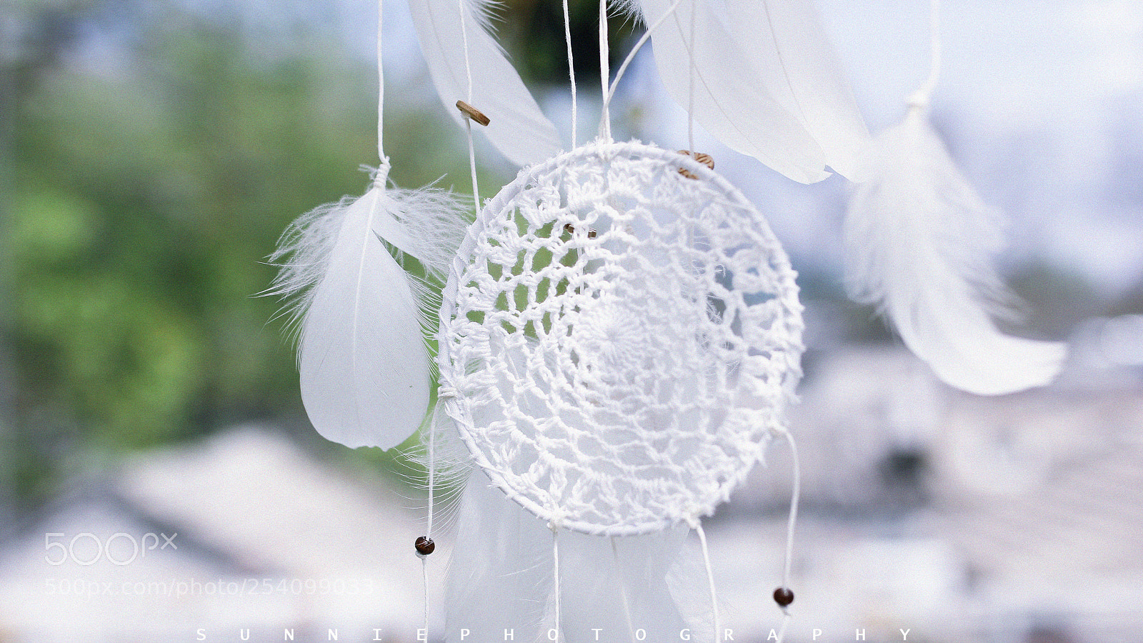 Canon EOS 60D sample photo. Untitled photography