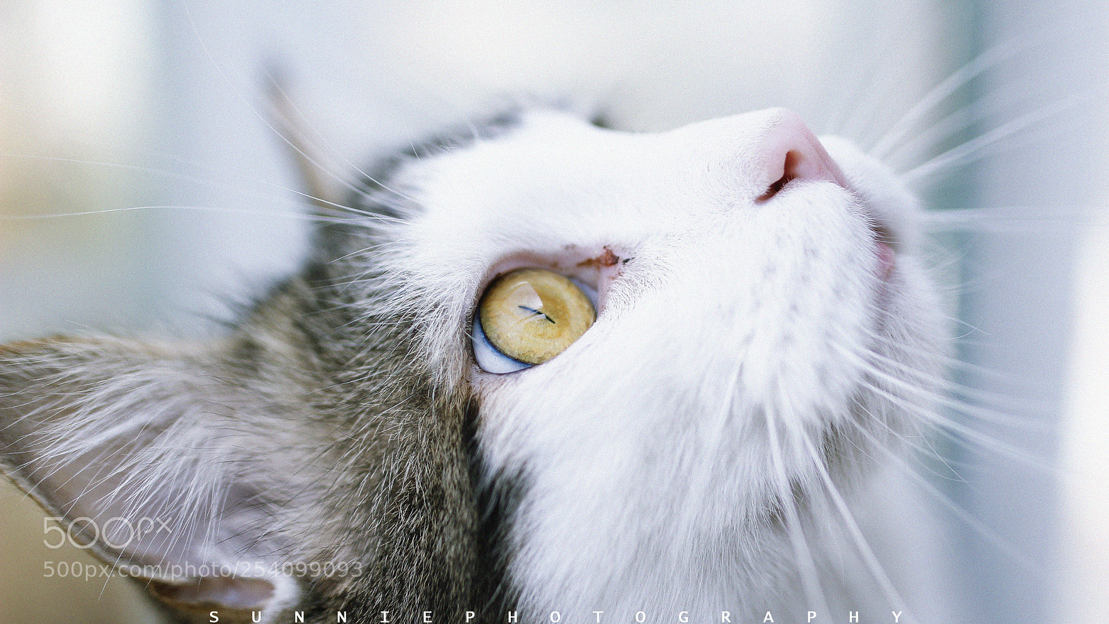 Canon EOS 60D sample photo. Untitled photography